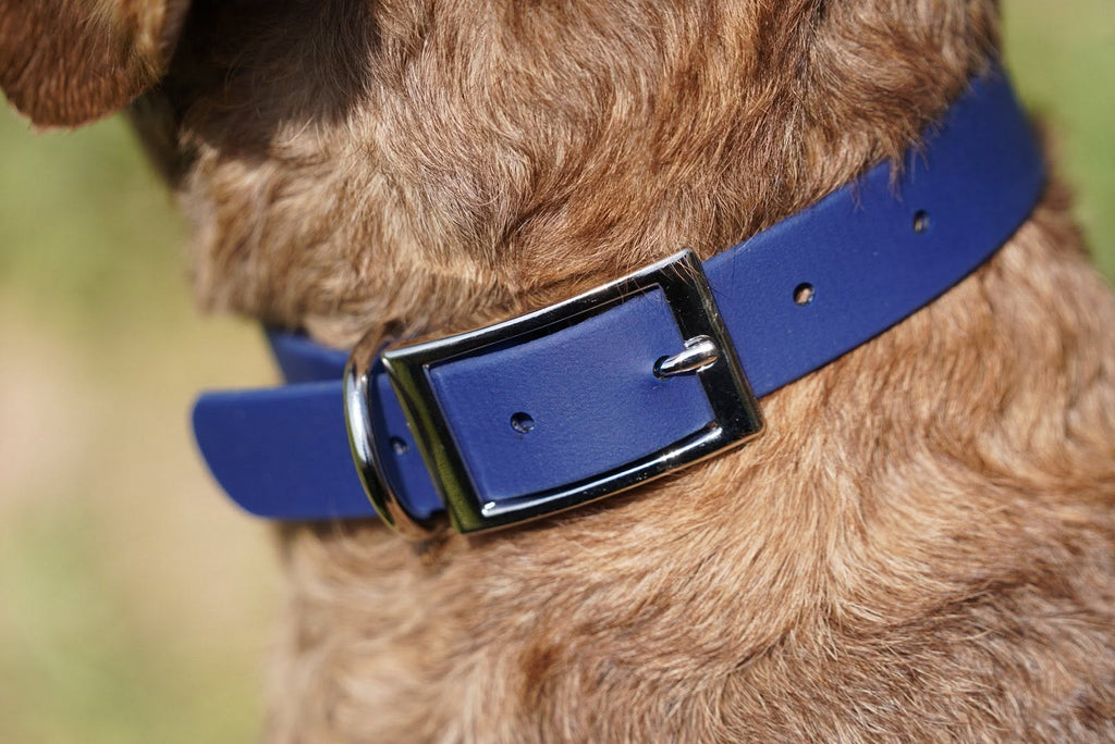 Waterproof BioThane® Dog Collar