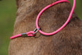 Slip Leads