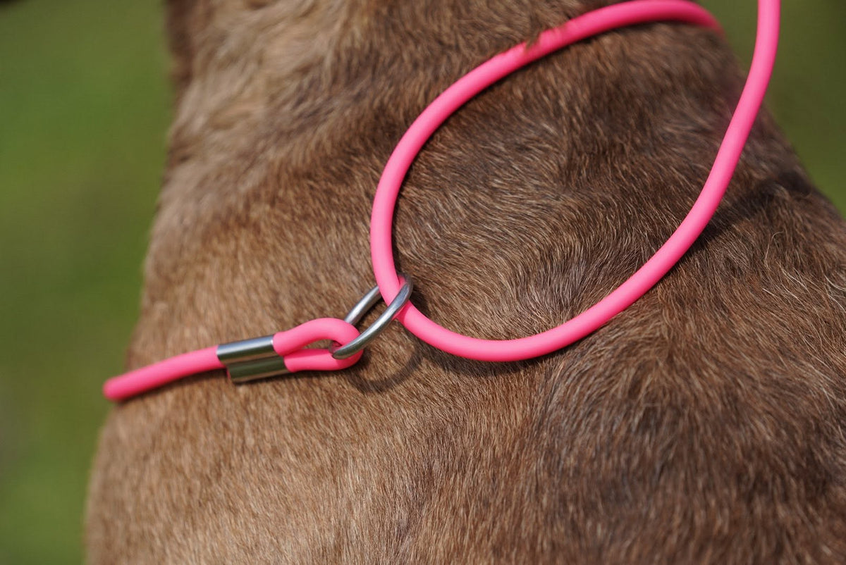 Slip Leads