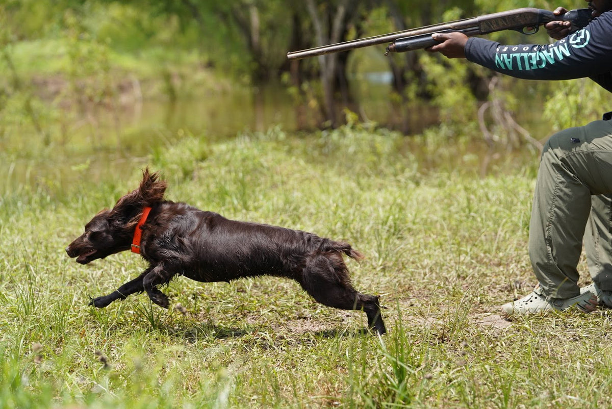 Waterproof BioThane® Dog Collar