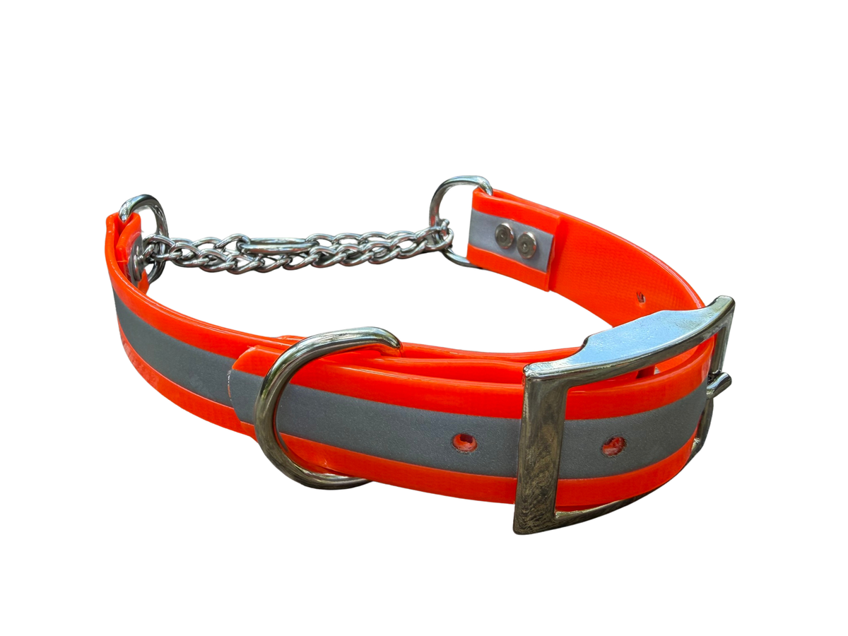 Martingale Collar
