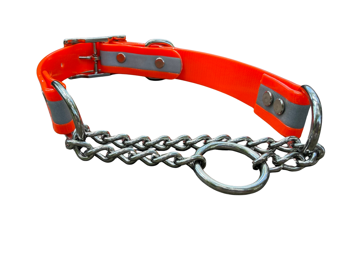 Martingale Collar