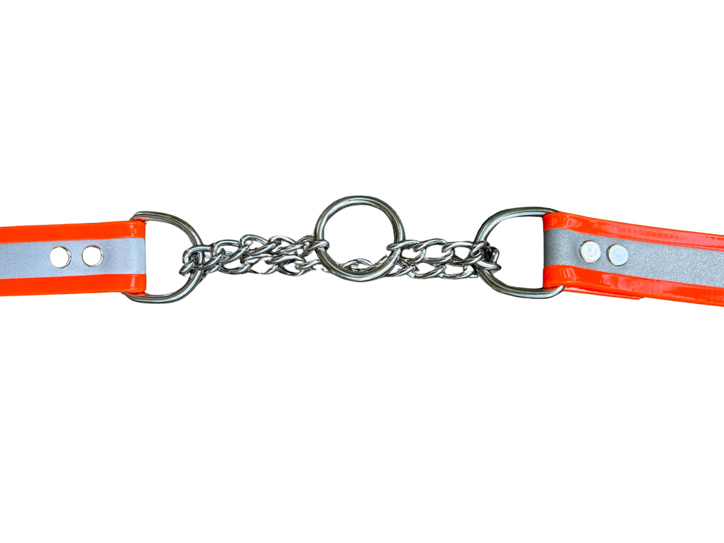 Martingale Collar