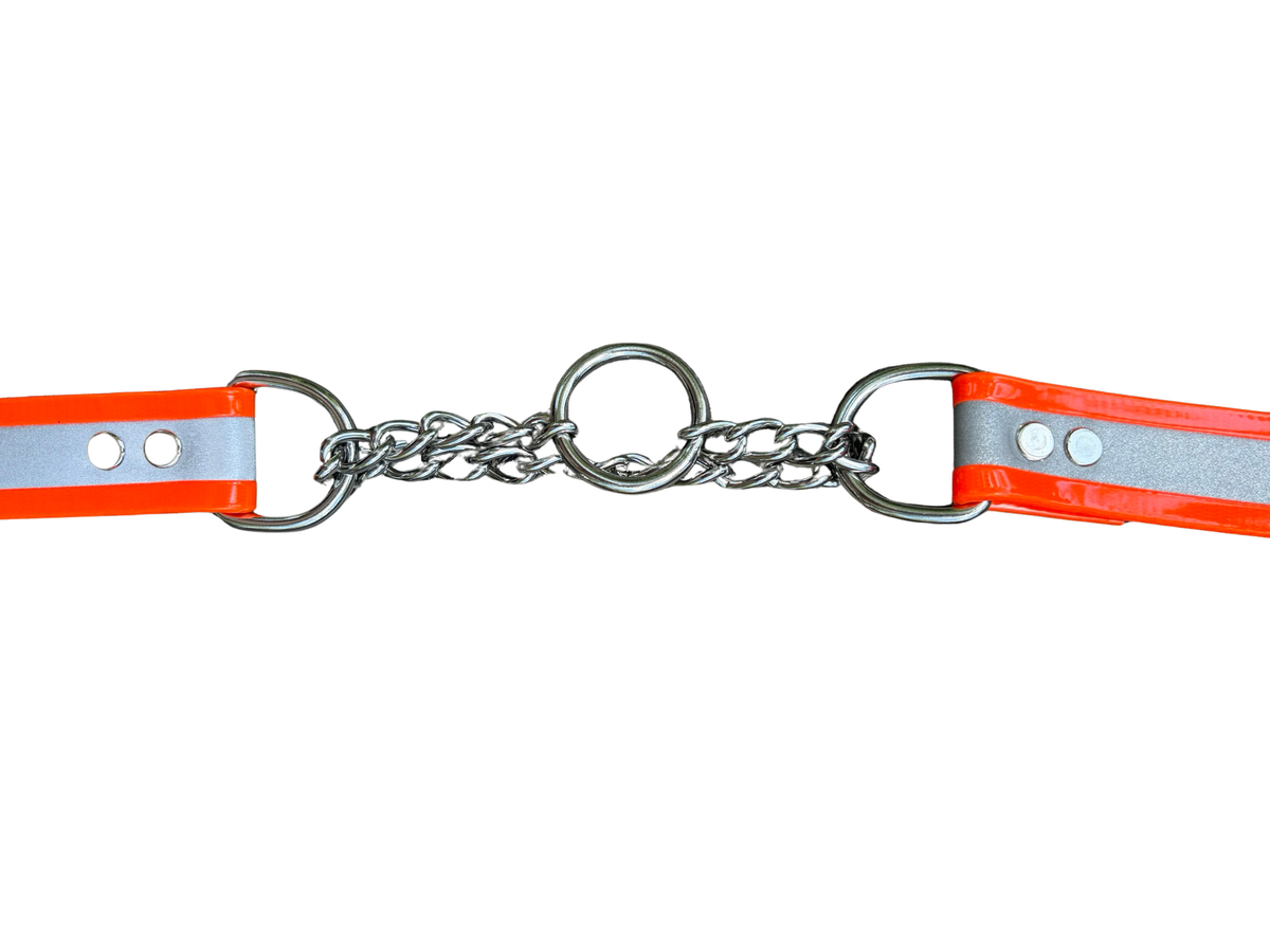 Martingale Collar